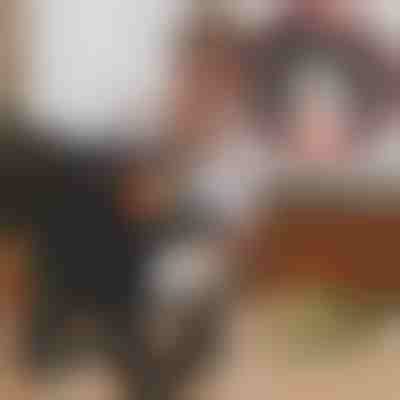 Otočný organizér a 18 kořenek | FERRISPICE