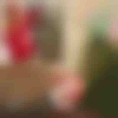 Santa s padákem | SANTASWING