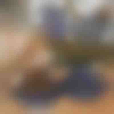 Skládací miska 2 v 1 na vodu a krmivo | WOOFDISH