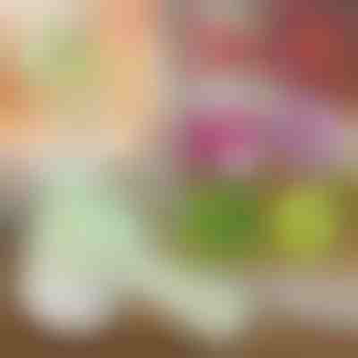 4v1 ruční elektrický sekáček | ROTOCHOP