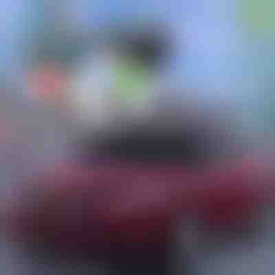 Nejlepší letní ochrana pro auta! | CARCOVER