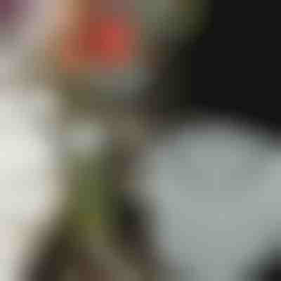 Držáky na květiny pro úžasná aranžmá (3ks) | VASEKA