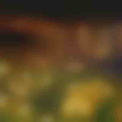 Zahradní solární svítidla (teplé světlo) | SOMPEX